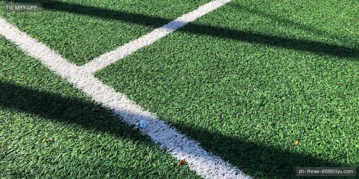 突破极限，成就荣耀！🏆